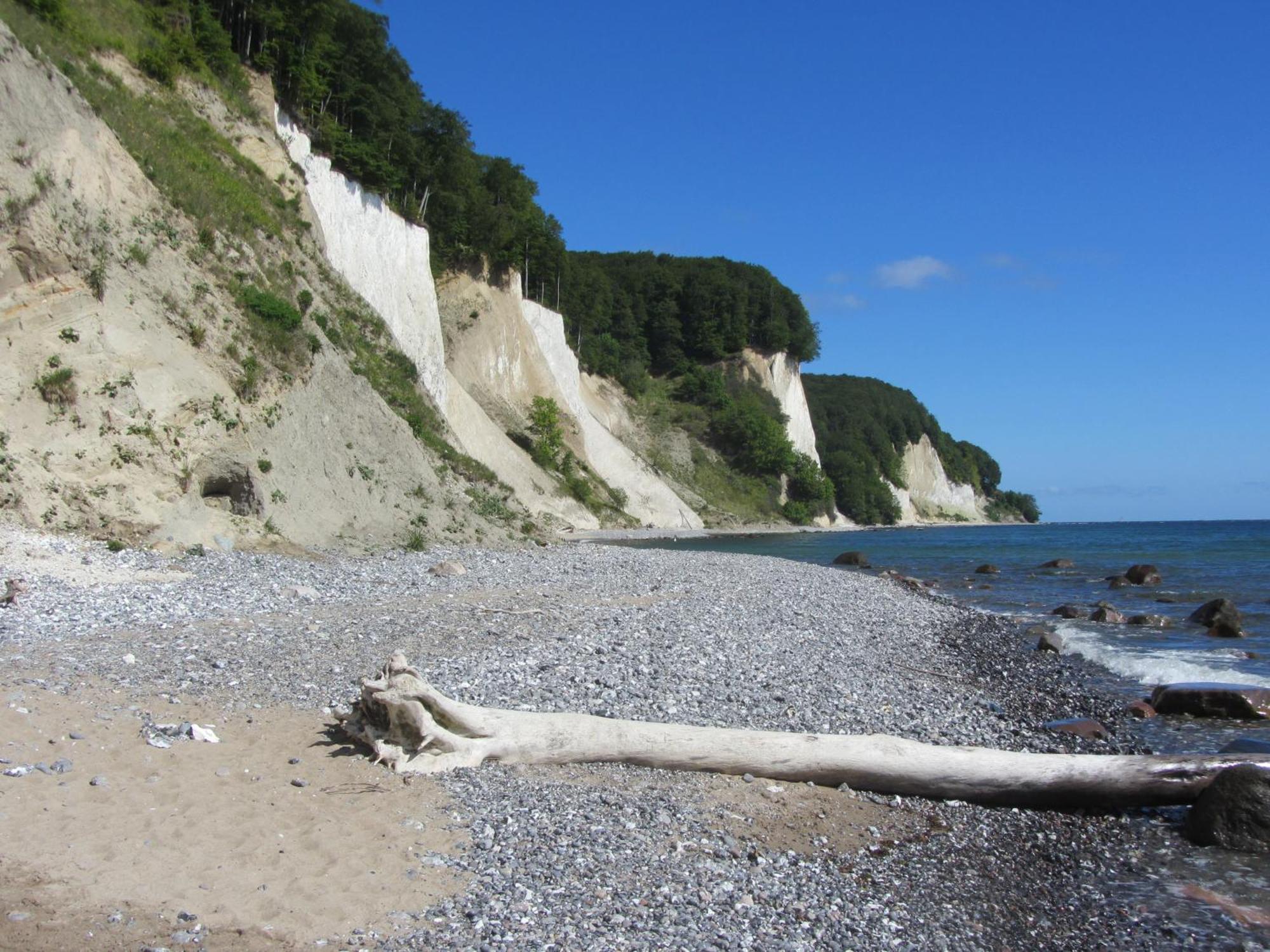 Ferienwohnung In Sassnitz Ruegen Naehe Weltnaturerbe Kreidekueste Εξωτερικό φωτογραφία