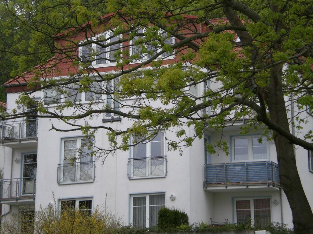 Ferienwohnung In Sassnitz Ruegen Naehe Weltnaturerbe Kreidekueste Εξωτερικό φωτογραφία
