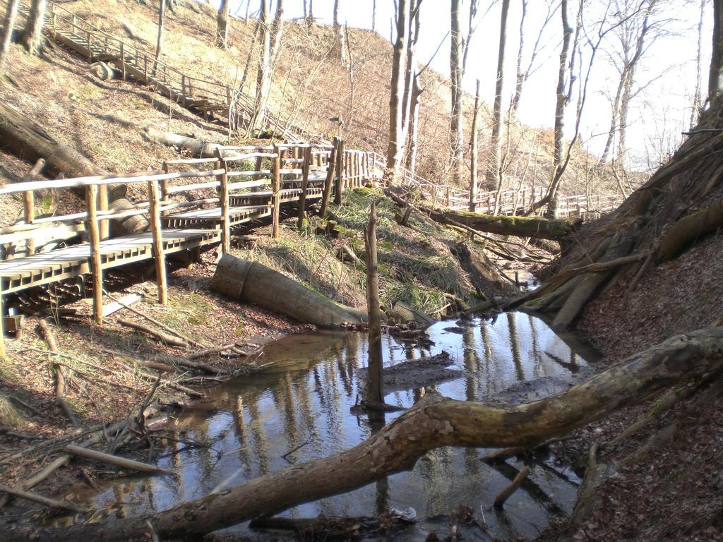 Ferienwohnung In Sassnitz Ruegen Naehe Weltnaturerbe Kreidekueste Εξωτερικό φωτογραφία