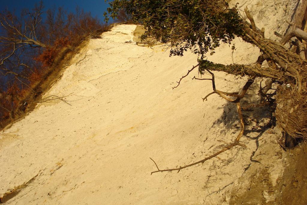 Ferienwohnung In Sassnitz Ruegen Naehe Weltnaturerbe Kreidekueste Εξωτερικό φωτογραφία