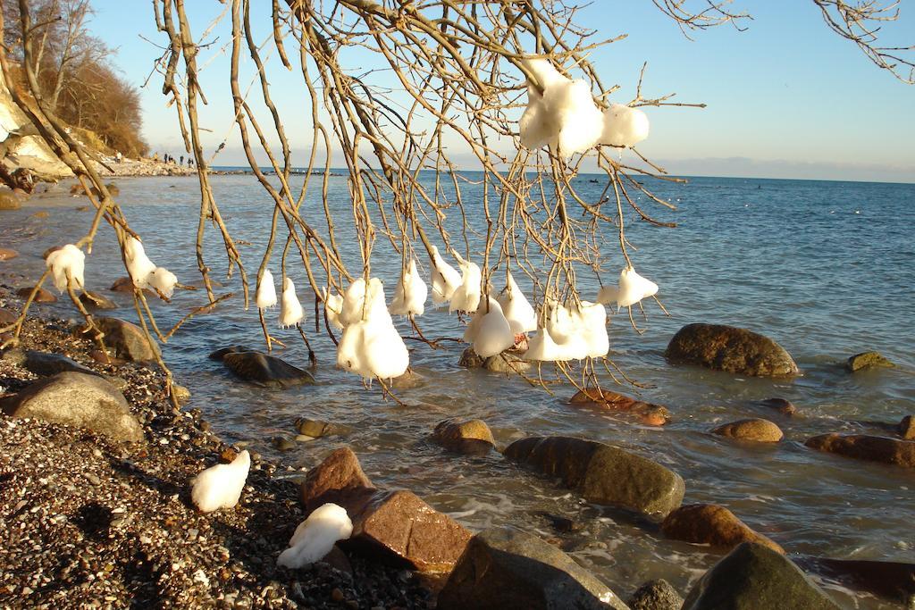 Ferienwohnung In Sassnitz Ruegen Naehe Weltnaturerbe Kreidekueste Εξωτερικό φωτογραφία