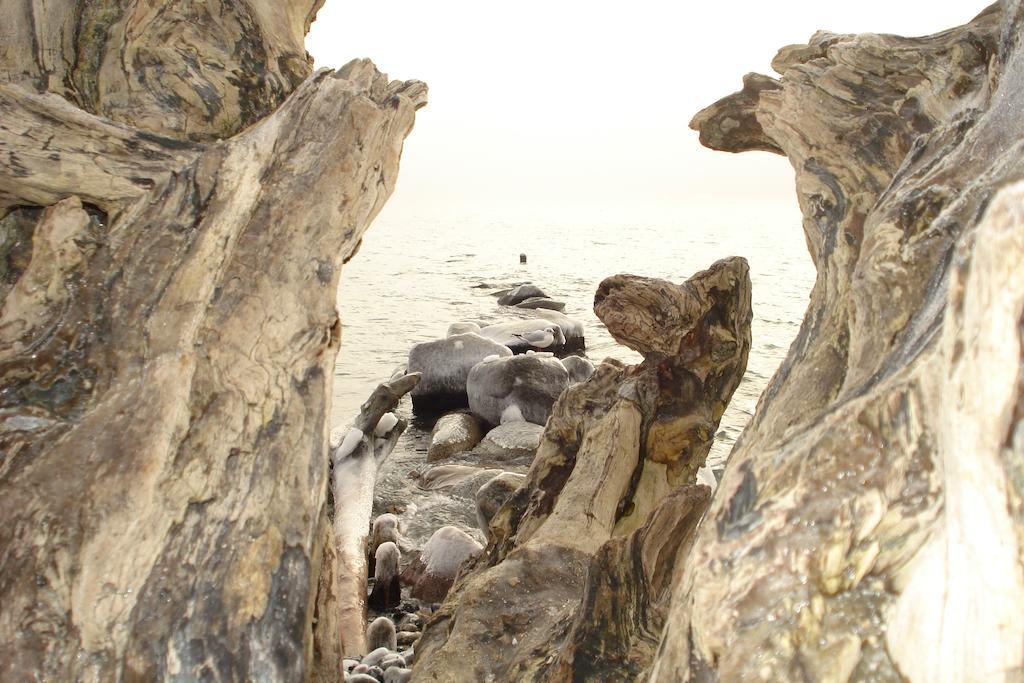 Ferienwohnung In Sassnitz Ruegen Naehe Weltnaturerbe Kreidekueste Εξωτερικό φωτογραφία