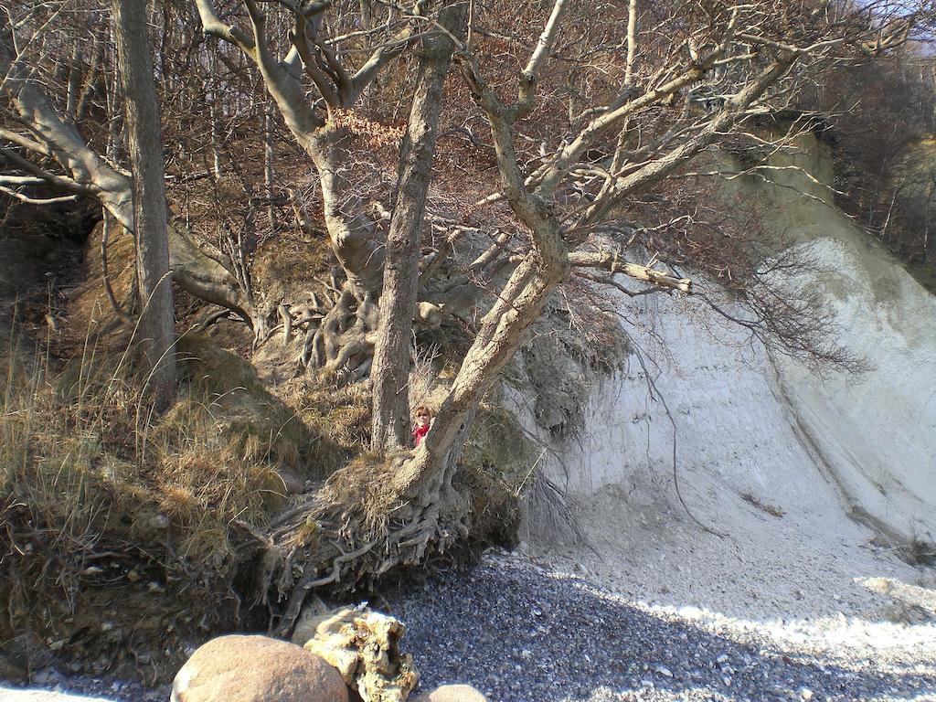 Ferienwohnung In Sassnitz Ruegen Naehe Weltnaturerbe Kreidekueste Εξωτερικό φωτογραφία