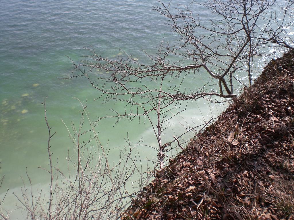 Ferienwohnung In Sassnitz Ruegen Naehe Weltnaturerbe Kreidekueste Εξωτερικό φωτογραφία