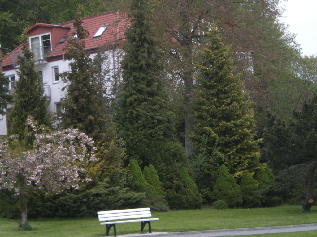 Ferienwohnung In Sassnitz Ruegen Naehe Weltnaturerbe Kreidekueste Εξωτερικό φωτογραφία