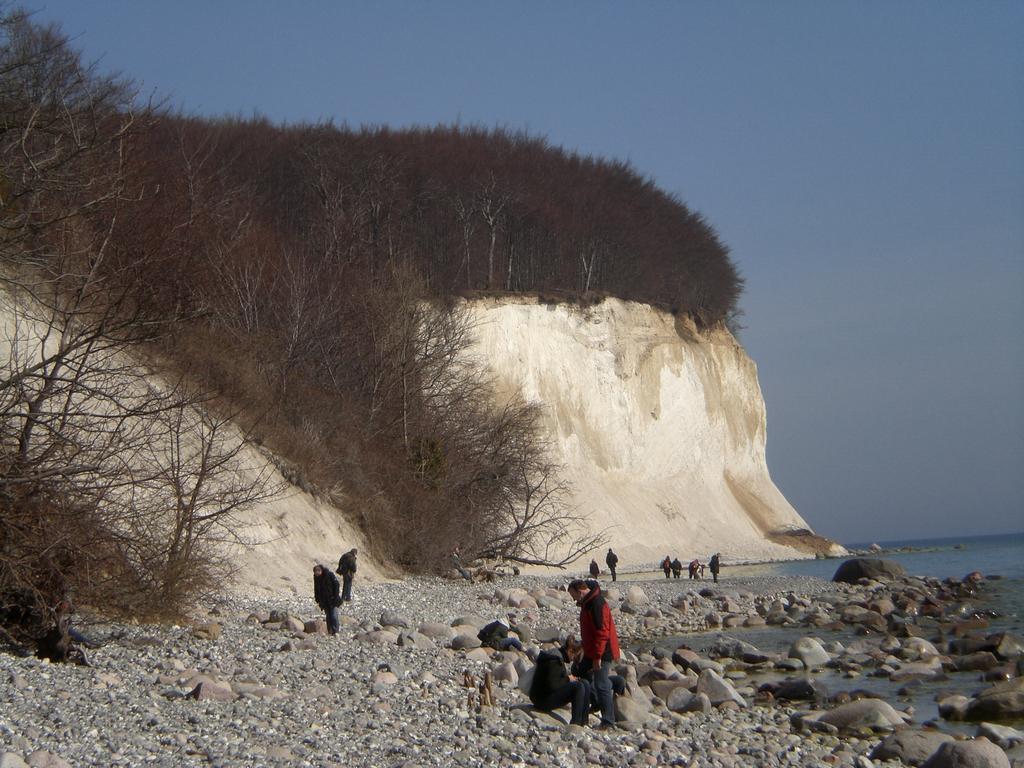 Ferienwohnung In Sassnitz Ruegen Naehe Weltnaturerbe Kreidekueste Εξωτερικό φωτογραφία