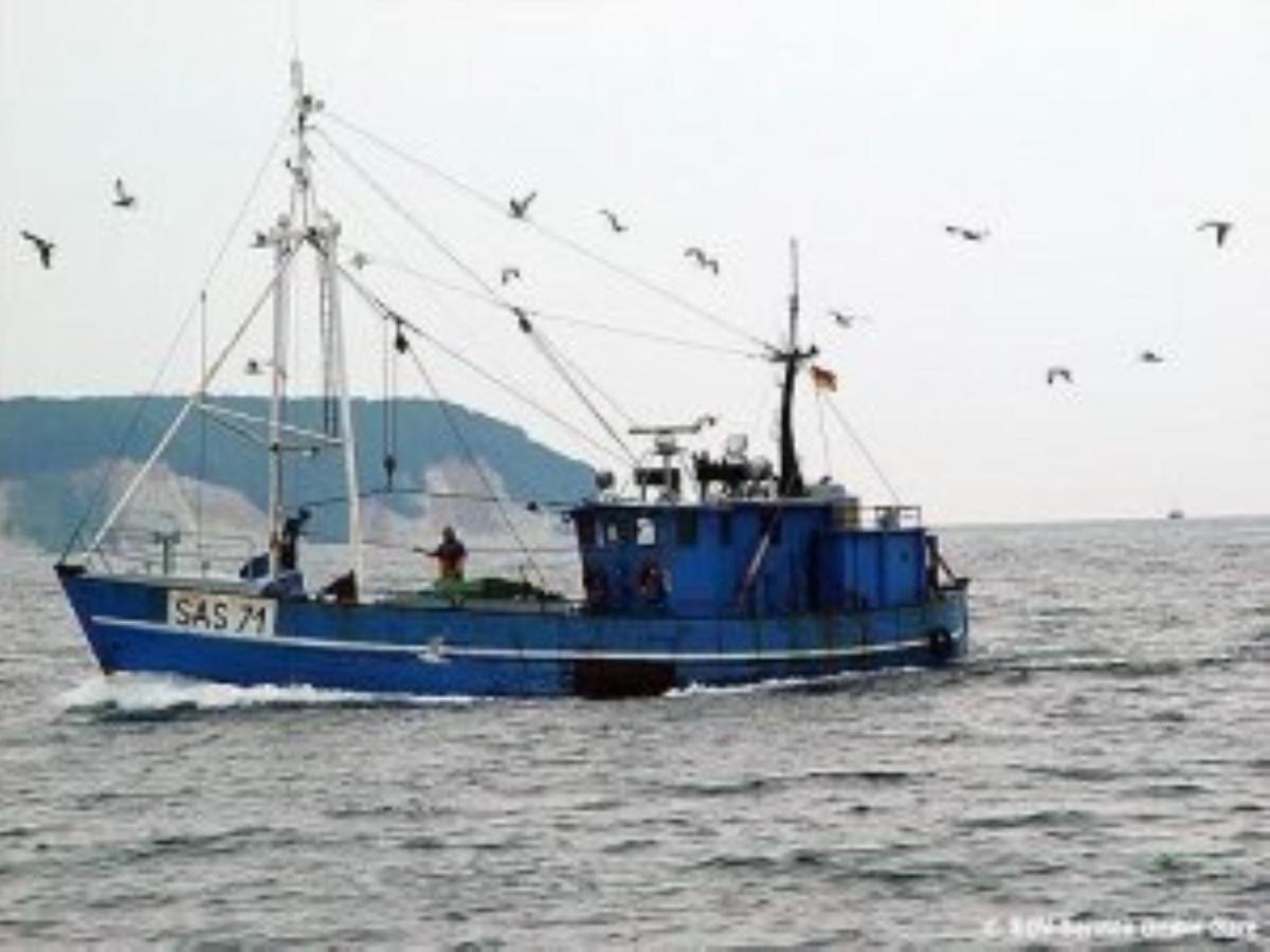 Ferienwohnung In Sassnitz Ruegen Naehe Weltnaturerbe Kreidekueste Εξωτερικό φωτογραφία